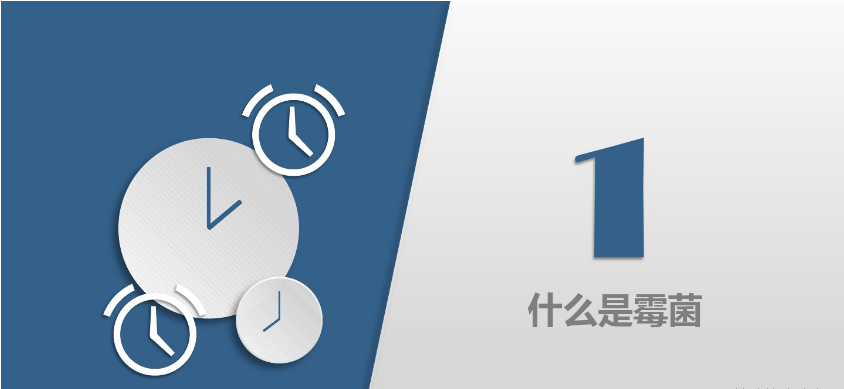 食品潔淨車間,環境黴（méi）菌來源（yuán）,黴（méi）菌控製措施，滁州無塵淨化車（chē）間