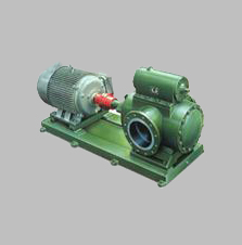 河北泊頭齒輪泵（bèng）